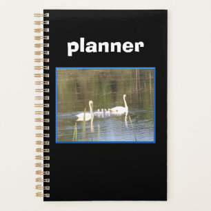 Planificateur de famille de cygne blanc