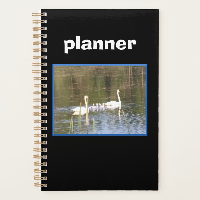 Planificateur de famille de cygne blanc (Devant)
