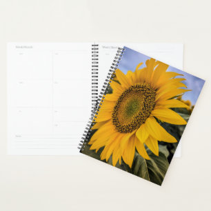 Planificateur de fermeture de tournesol