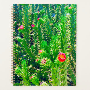 Planificateur de fleurs Cactus