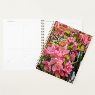Planificateur de fleurs de cerisiers