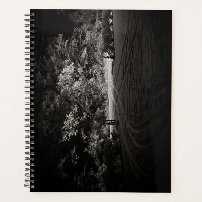 Planificateur de forêt enneigée de nuit (Devant)