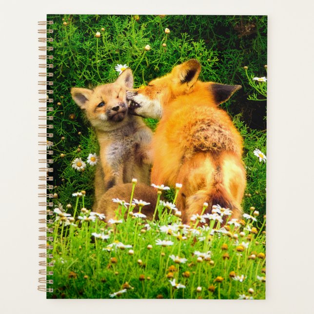 Planificateur de kits de renard roux | Art de la f (Devant)