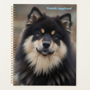 Planificateur de Laponie finnoise