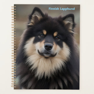 Planificateur de Laponie finnoise