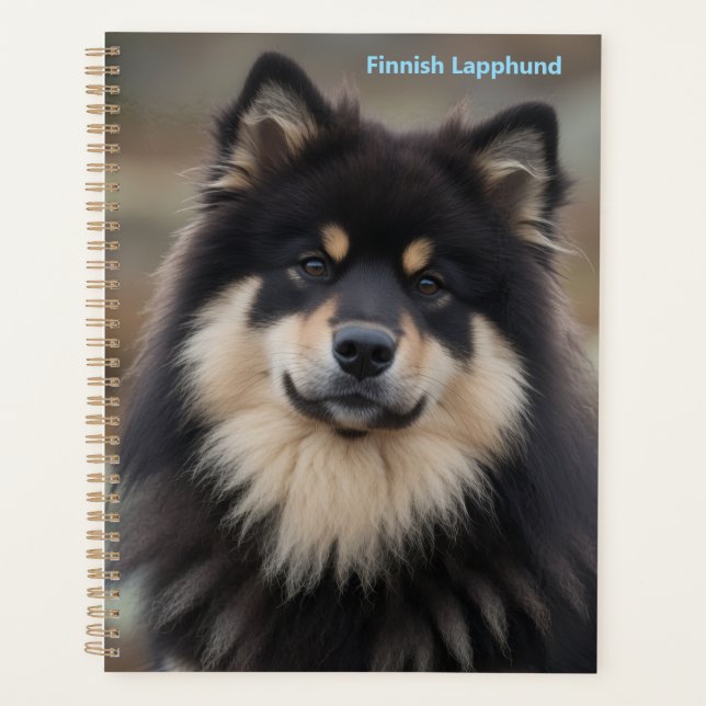 Planificateur de Laponie finnoise (Devant)