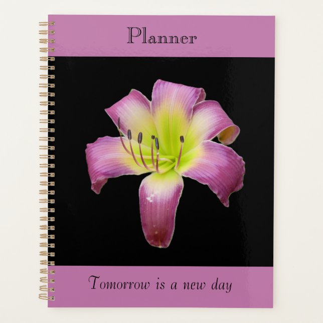 Planificateur de lys à teinte violette (Devant)