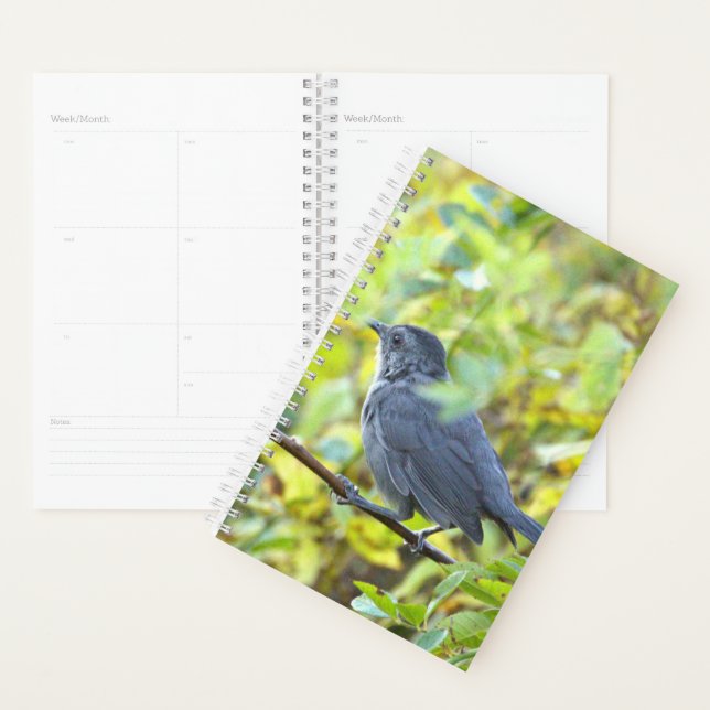 Planificateur de photos d'oiseaux (Devant avec enveloppe)