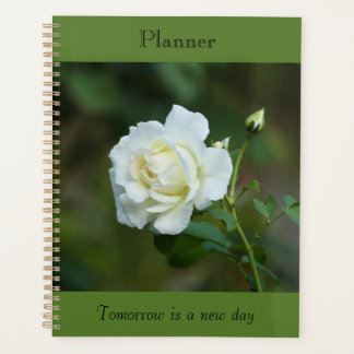 Planificateur de rose autonome