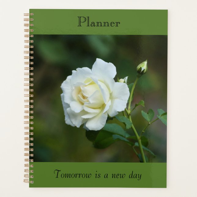 Planificateur de rose autonome (Devant)