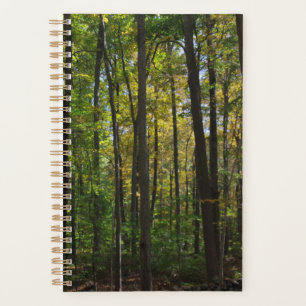 Planificateur de scènes forestières