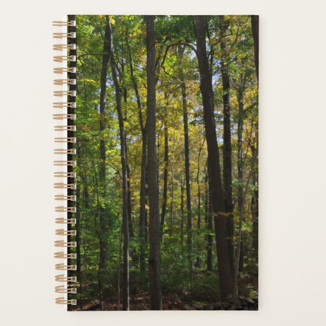 Planificateur de scènes forestières (Devant)