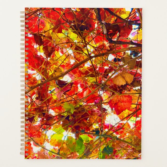 Planificateur de spirale d'automne (Devant)