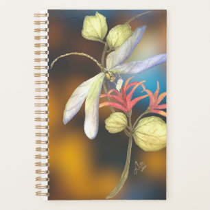 Planificateur de spirale de libellule