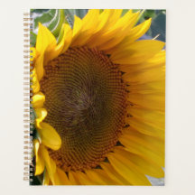 Planificateur de tournesols