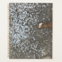 Planificateur des nouveaux débuts et des premières