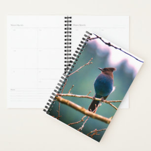 Planificateur d'observateurs d'oiseaux