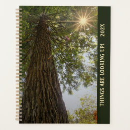 Planificateur Forêt Paisible avec Lumière Dorée