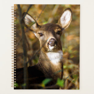 Planificateur hebdomadaire/mensuel de cerfs à que