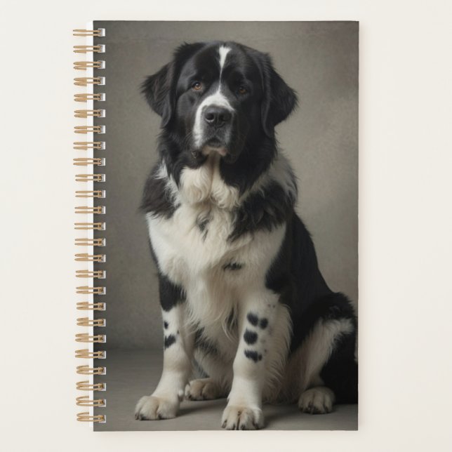 Planificateur Landseer (Devant)