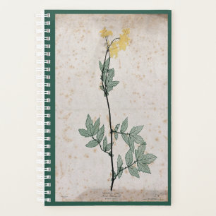 Planificateur Meadowsweet