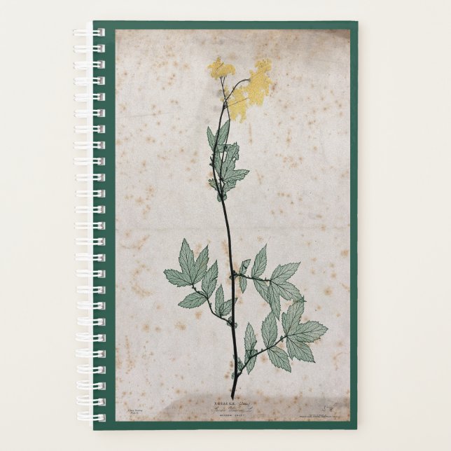 Planificateur Meadowsweet (Devant)