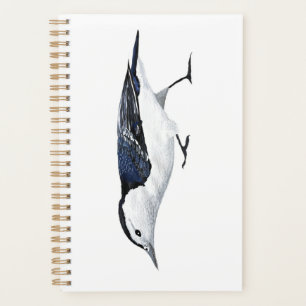 Planificateur Nuthatch à poitrine blanche