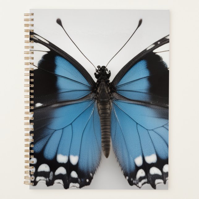 Planificateur papillon bleu (Devant)