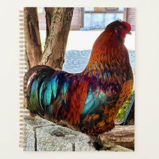 Planificateur personnalisé Vibrant Rooster
