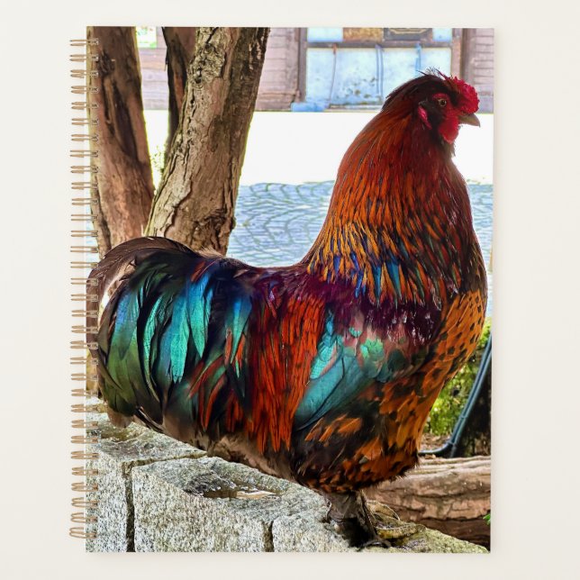 Planificateur personnalisé Vibrant Rooster (Devant)