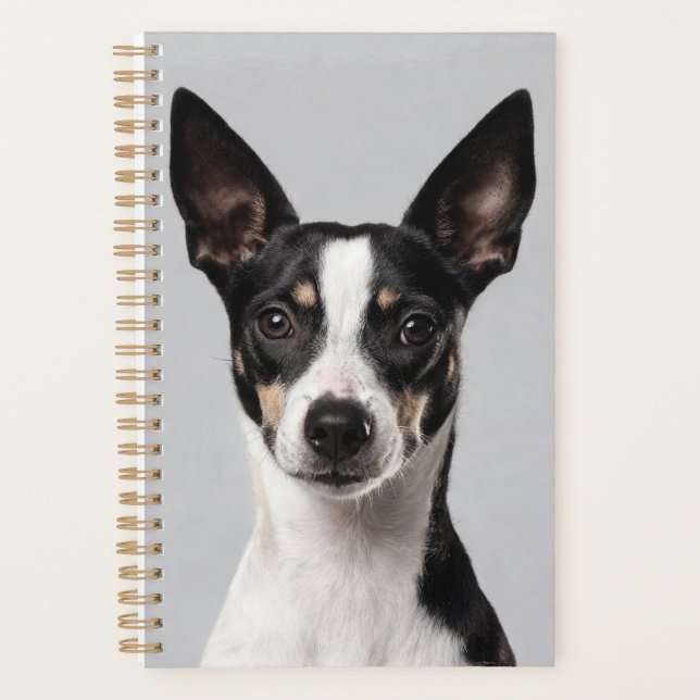 Planificateur pour Toy Fox Terrier (Devant)