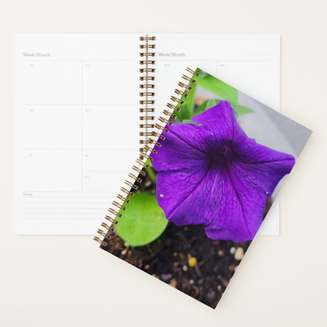 Planificateur Pretty Purple Petunia - Photo Origin (Devant avec enveloppe)