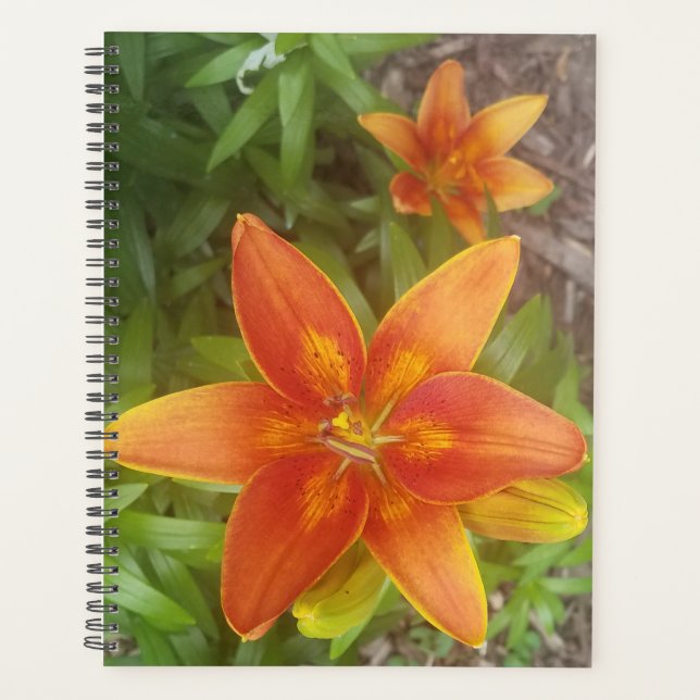 Planificateur quotidien (Devant)