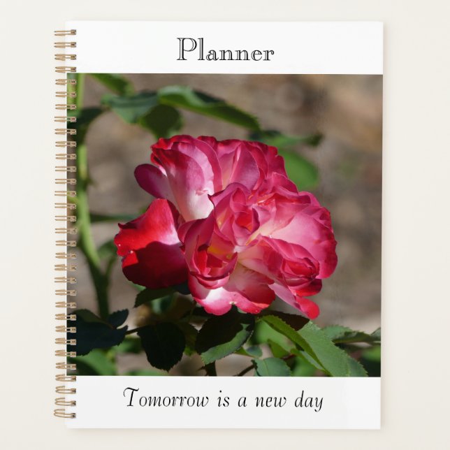 Planificateur Rose Étincelante (Devant)