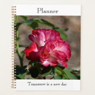 Planificateur Rose Étincelante