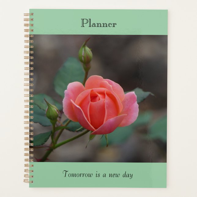 Planificateur Rosebud Pinky (Devant)
