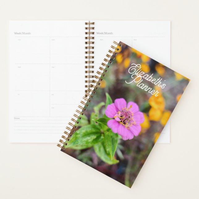 Planificateur Zinnia - Photographie originale (Devant avec enveloppe)