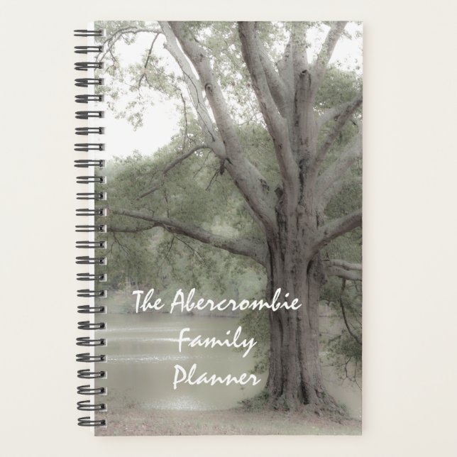 Planifications de l'arborescence des familles et (Devant)