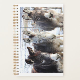 Planner wild burros
