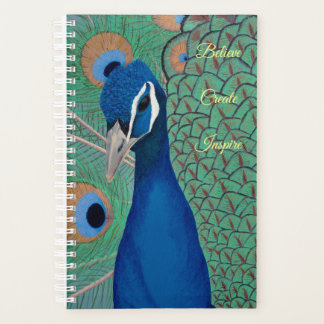 Planneur Peacock Bleu