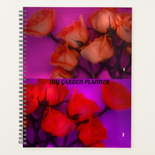 PLANNIFICATEUR DE ROSES