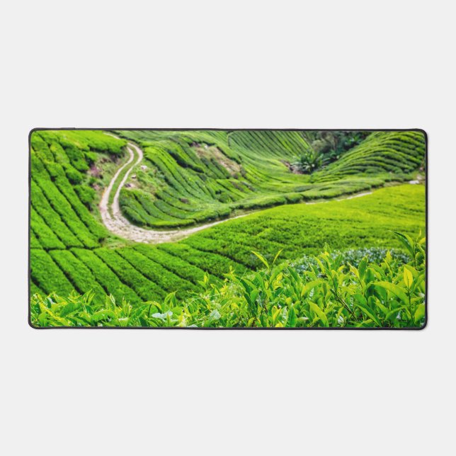 Plantation de thé des Cameron Highlands (Recto)