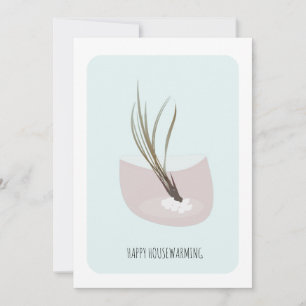 Plante aérienne pour pendaison de crémaillère Fête