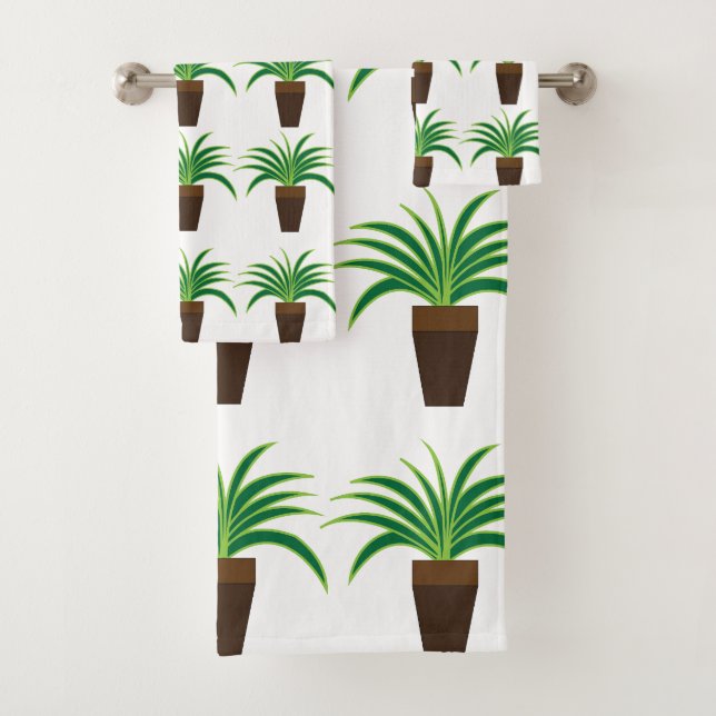Plante araignée    (En situation)