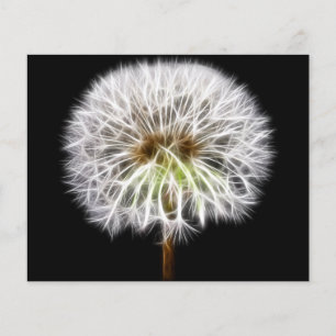 Plante de fleurs de pissenlit blanc