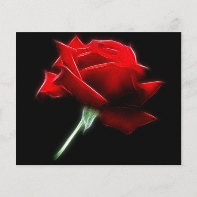 Plante de fleurs de rose rouge (Devant)
