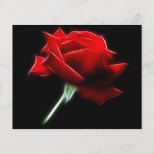 Plante de fleurs de rose rouge