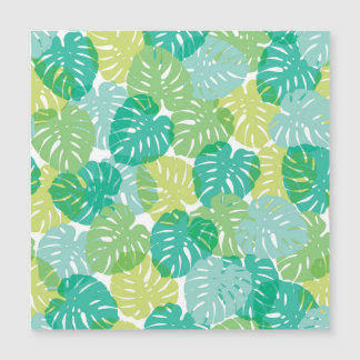 Plante de fromage exotique : Monstère tropicale