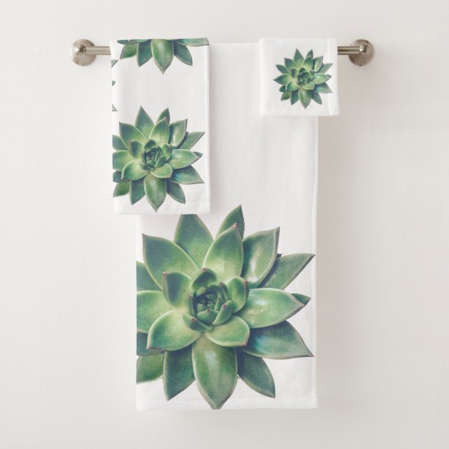Plante succulente verte moderne et amicale sur fon (En situation)