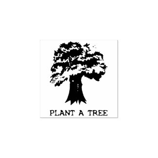 Plante un tampon d'arbre